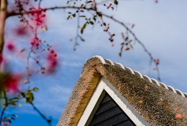 Detailfoto van de nok van een landhuis met rieten kap